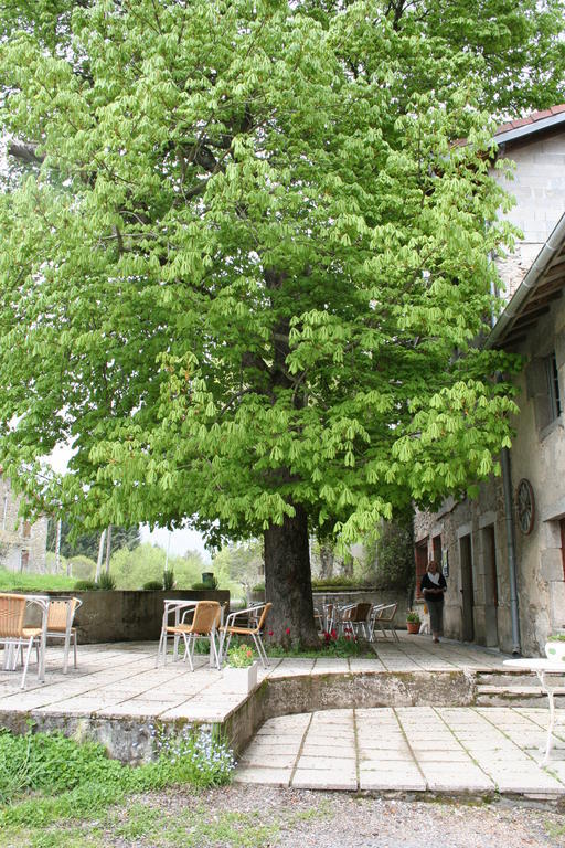 Auberge Du Precontent Arfeuilles Buitenkant foto